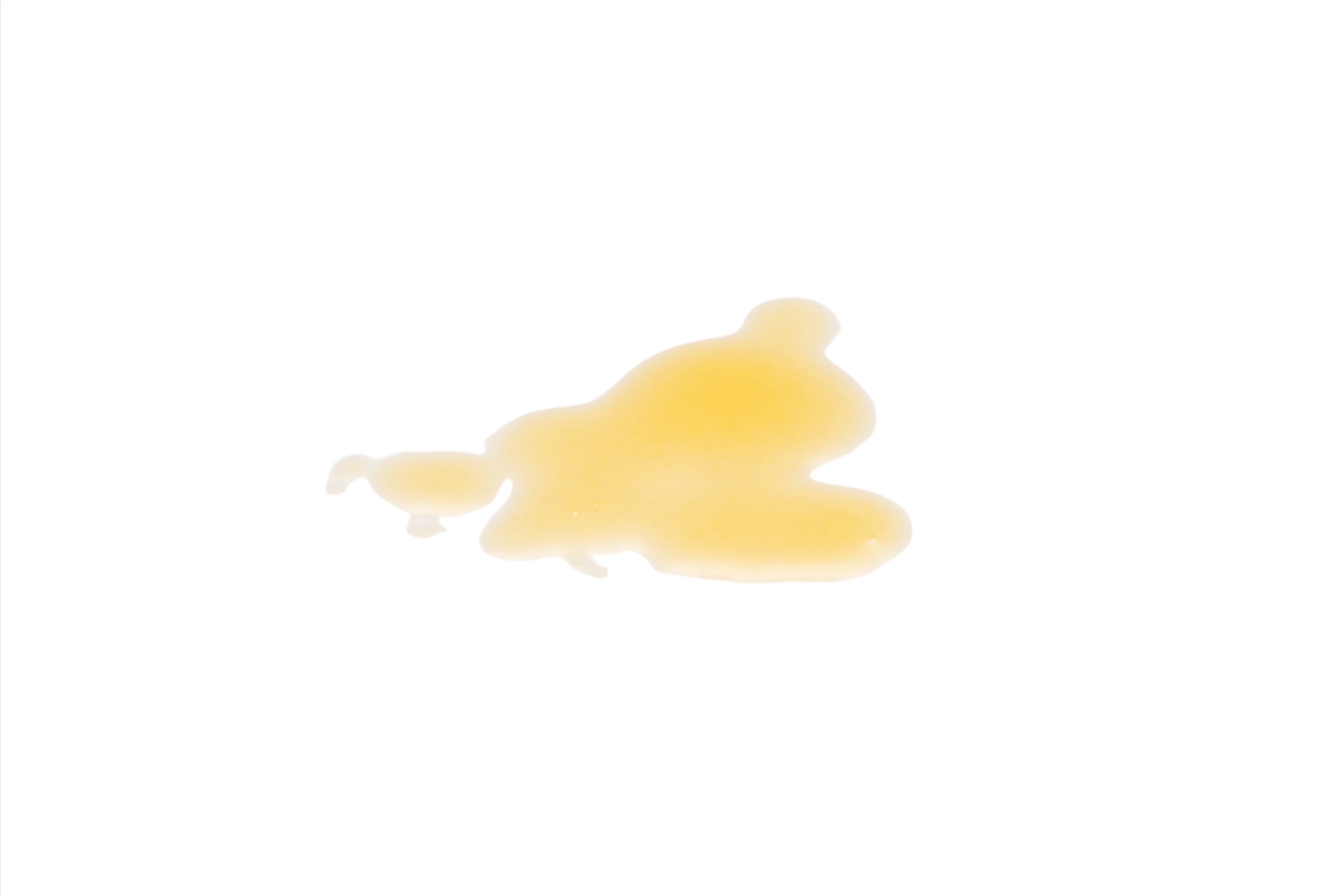 Oil Cleanser - Sea Moss and Goji